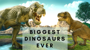 what's the largest dinosaur that ever lived