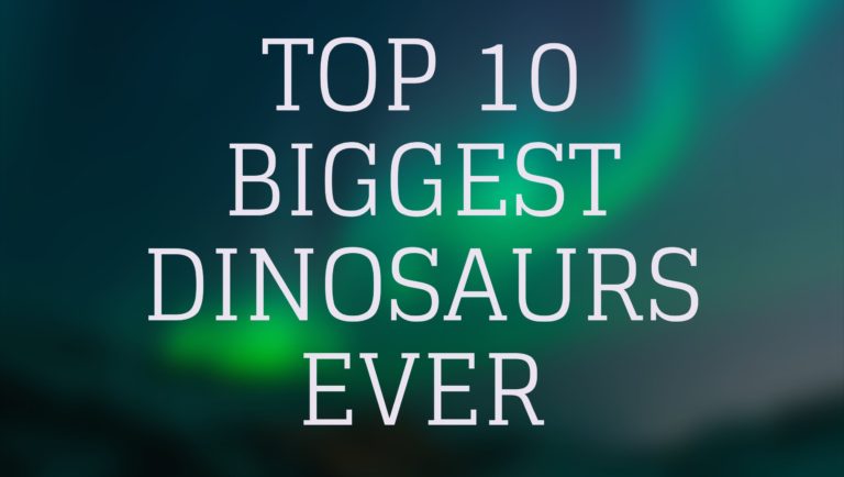 10 biggest dinosaurs